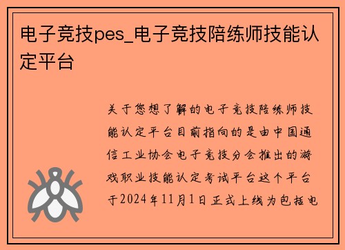 电子竞技pes_电子竞技陪练师技能认定平台